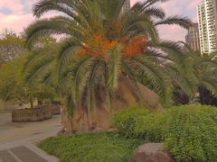 -苏州河梦清园环保主题公园