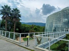 -昆明植物园