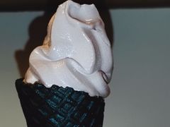 男梅塘风味冰淇淋-长春堂顺时而饮(前门店)