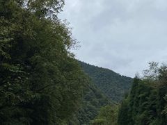 -西岭雪山大飞水景区