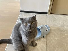 -佳雯宠物医院·皮肤科·内外科(春晓路分院)