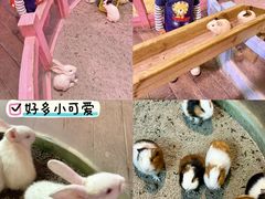 -正佳雨林生态植物园
