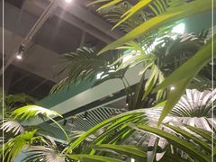 -春润大地海南椰子鸡(沙井京基百纳广场店)