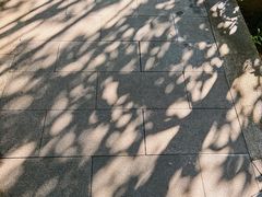-金鸡山公园