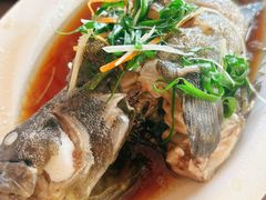 -岛中岛·海鲜大排档·万宁老字号(东澳店)