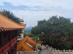 -深圳仙湖植物园