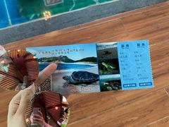 -广东惠东海龟国家级自然保护区