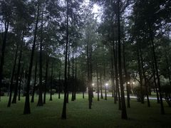 -晓港公园
