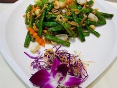 招牌海味小炒皇-海儀美食楼(湾仔海鲜街店)