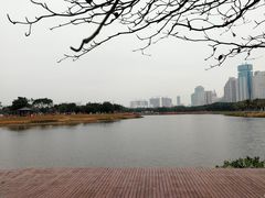-万绿园
