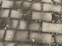 -云岗森林公园