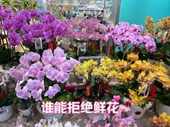 -合肥蜀山万象汇