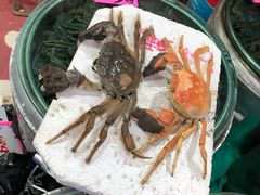 -江杨农产品批发市场