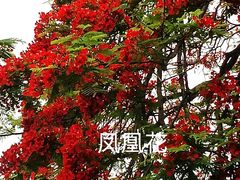 -东山湖公园
