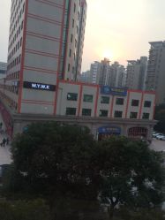 点击看大图 窗外风景-镁连社·美联社