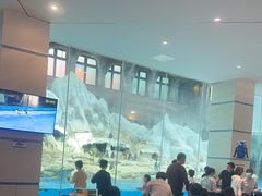 -帝企鹅自助餐厅•儿童岛•真企鹅(长隆企鹅酒店)