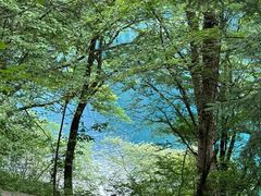 -西岭雪山大飞水景区