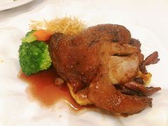 -维兰西餐(万泉河店)