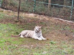 -乐和乐都主题乐园