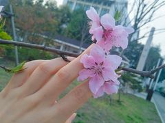 -苏州图书馆(人民路总馆)