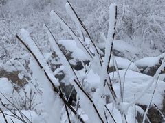 -太子岭滑雪场