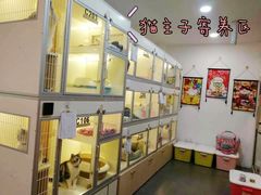 -宠小格时尚宠物生活馆(唐镇店)