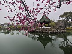 -无锡蠡湖国家湿地公园-蠡园