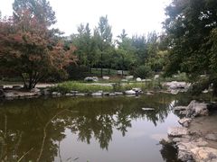 -大望京公园