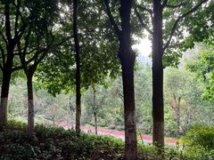 -龙头寺公园