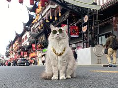 -御陕坊(交大店)