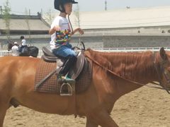 他在学习如何放松-月河湾马术俱乐部(朝阳店)