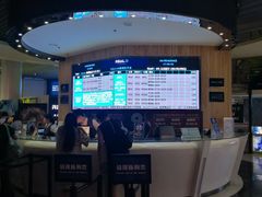 -奥斯卡升龙国际影城(RealD Cinema)