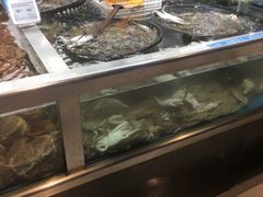 -盒马鲜生(大成店)