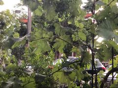 -回头客餐厅·家的味道农家菜·虹鳟鱼·铁锅炖(雁栖湖店)