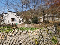 -塔川景区