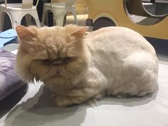 -小时光咖啡馆(开森度假森林店)