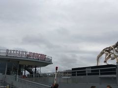 -Bateaux Mouches塞纳河游船