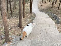 -北京凤凰岭