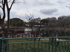 -新江湾城公园