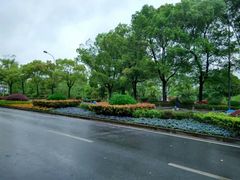 -武汉大学-樱园