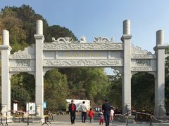 -羚羊峡古栈道森林公园