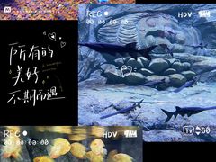 -重庆欢乐海底世界