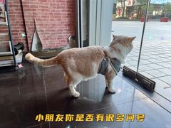 -UN CAFFE(五角场店)