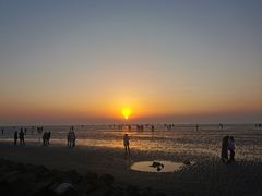 -南汇嘴观海公园