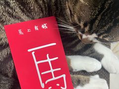 -一坐一忘云南菜(三里屯店)