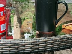 -疯克大象美式烤肉餐厅