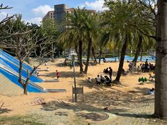 -宝安西湾红树林湿地公园