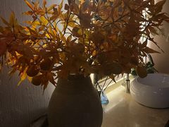 -Dragonfly悠庭·按摩Spa(新乐路店)