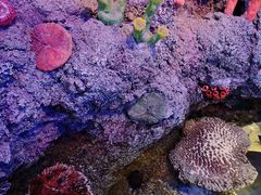 -沈阳海洋探索中心