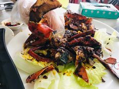 -新峰肉骨茶